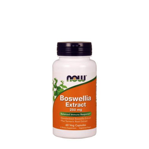 Now Foods Boswellia Extract – Tömjénfa Kivonat 250 mg (60 Veg Kapszula)