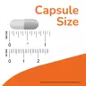 Now Foods Cat's Claw - Macskakarom 500 mg (250 Veg Kapszula)