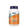 Now Foods Magnesium + Ashwagandha (120 Veg Kapszula)