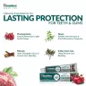 Himalaya Ajurvédikus Fogkrém Természetes Fluoriddal (100 g, Gránátalma)