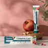 Himalaya Complete Care Teljes Körű Védelmet Biztosító Gyógynövényes Fogkrém (75 ml)