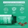 Goli Pre + Post + Probiotics Gummies - Prebiotikum és Probiotikum Gumicukor (60 Gumicukor)