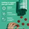Goli Pre + Post + Probiotics Gummies - Prebiotikum és Probiotikum Gumicukor (60 Gumicukor)