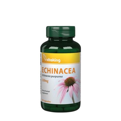 Vitaking Echinacea (Bíbor Kasvirág) Kivonat (90 Kapszula)