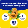 Enzymedica Papaya Complete - Emésztési Támogatás (120 Tabletta, Papaya menta)