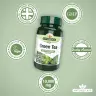 Natures Aid Zöld tea kivonat 10000 mg (60 Tabletta)