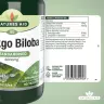 Natures Aid Ginkgo Biloba 120 mg kivonat (90 Tabletta)