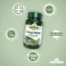 Natures Aid Ginkgo Biloba 120 mg kivonat (90 Tabletta)