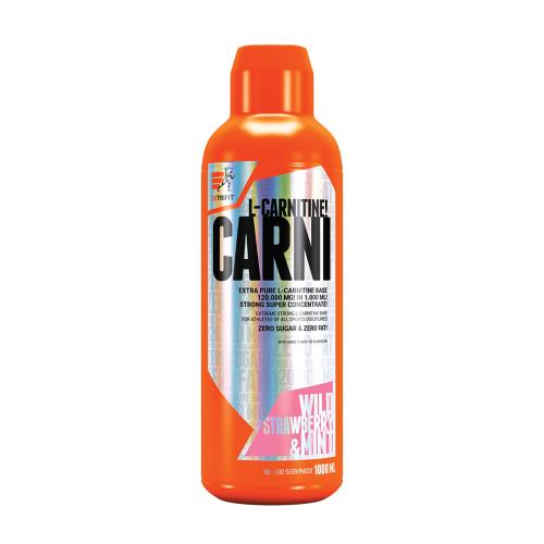 Extrifit Carni Liquid 120,000 mg (1000 ml, Eper Menta)