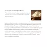 The Body Shop White Tea and Elderflower Body Butter - White Tea and Elderflower Testvaj (200 ml)
