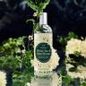 The Body Shop White Tea and Elderflower Fragrance Mist - White Tea and Elderflower Illatpermet (100 ml)