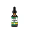 Nature's Answer Dandelion Extract - Pitypang Kivonat (1 fl. oz.)