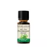 Nature's Answer Organic Peppermint - Bio Borsmenta (0.5 fl. oz.)