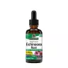 Nature's Answer Echinacea Extract - Bíbor Kasvirág Kivonat  (2 fl. oz.)