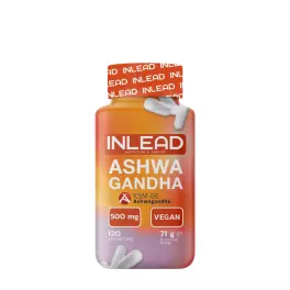 INLEAD Nutrition Ashwagandha KSM-66 (120 Kapszula)