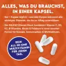 INLEAD Nutrition Vitamin Stack (120 Veg Kapszula)