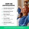 Vitamin360 KSM-66 Ashwagandha® 200 mg - Indiai Ginzeng (120 Veg Kapszula)