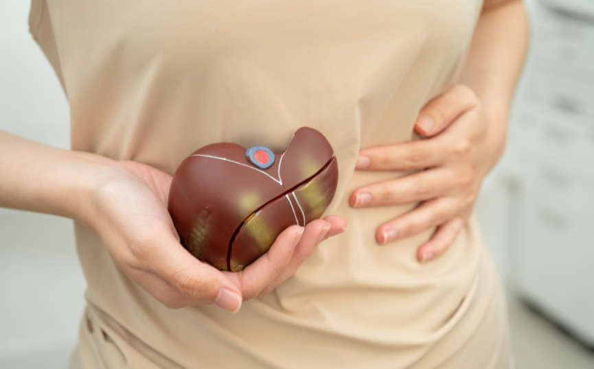 Általános útmutató a májvédő termékek útvesztőjében